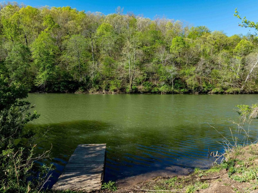 If you've been searching for usable land on the Spring River - photo 2