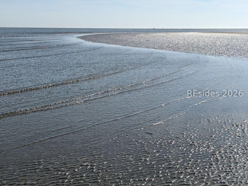 Discover the perfect place to build your Lowcountry retreat on - photo 26