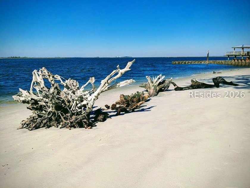 Discover the perfect place to build your Lowcountry retreat on - photo 34