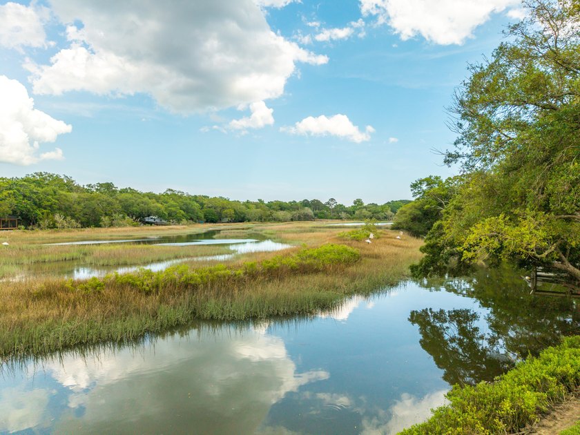 Welcome to 1244 Cornwallis Drive, a James Island tidal creek gem - photo 3