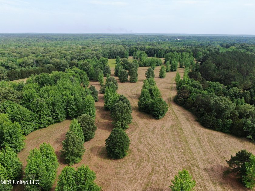 183+/- acres in northeast Tate County. A beautiful mixture of - photo 4
