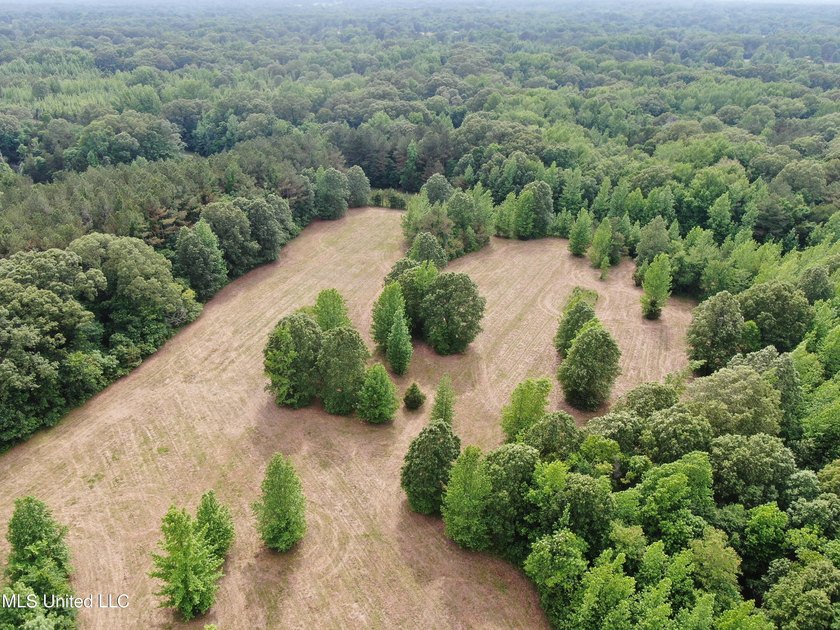 183+/- acres in northeast Tate County. A beautiful mixture of - photo 5