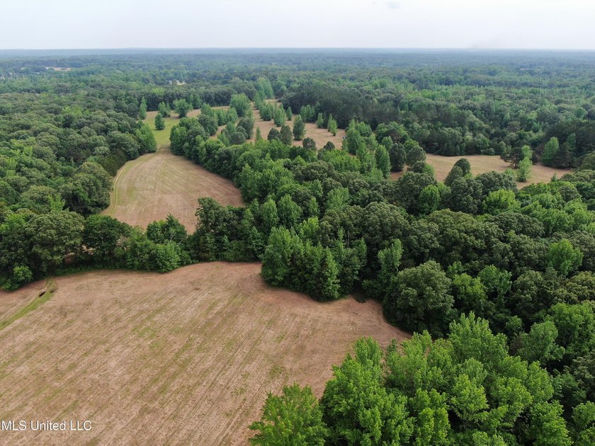 183+/- acres in northeast Tate County. A beautiful mixture of - photo 8