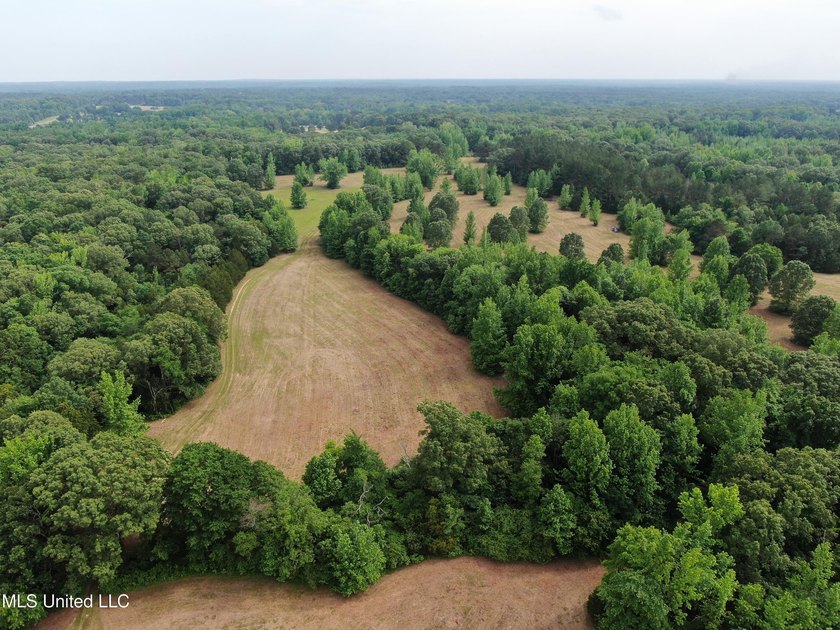 183+/- acres in northeast Tate County. A beautiful mixture of - photo 9