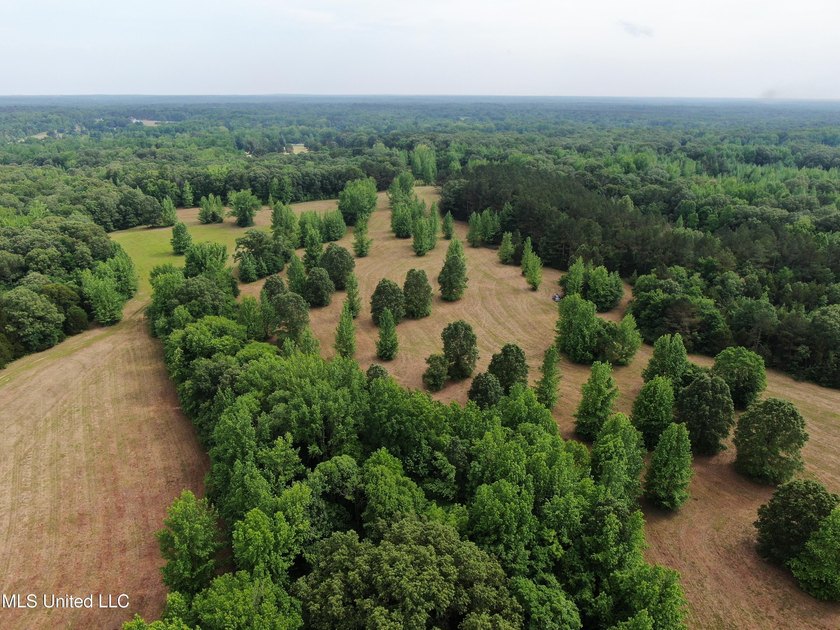 183+/- acres in northeast Tate County. A beautiful mixture of - photo 10
