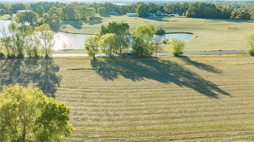Explore pristine, level waterfront lots in a top-rated school - photo 28