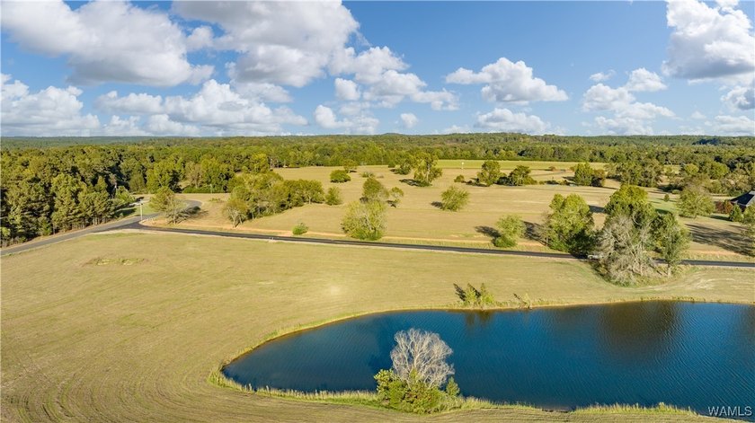 Explore pristine, level waterfront lots in a top-rated school - photo 40