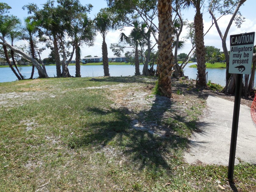 Welcome to the paradise of South Florida, resort-style social - photo 50