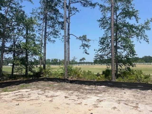 Stunning New Construction Craftsman in Sanctuary Cove - Golf - photo 13