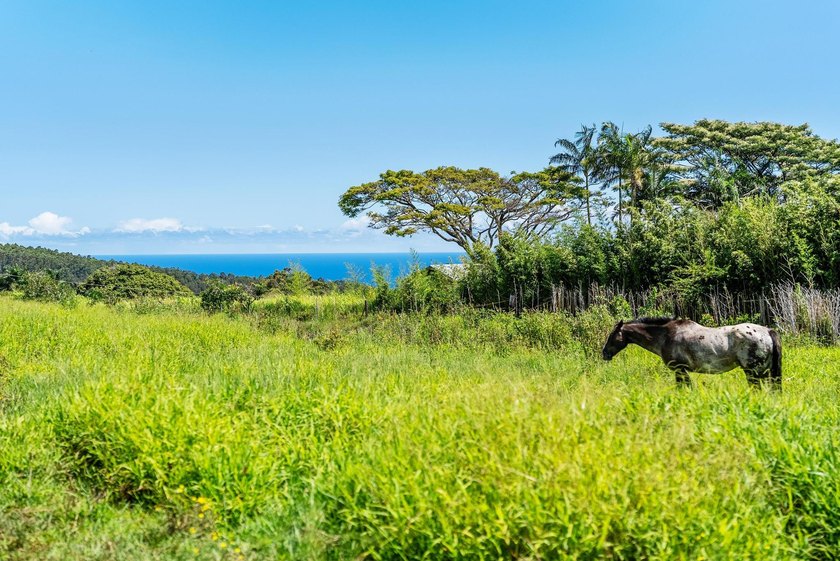 Commanding panoramic views of the Pacific Ocean and the slopes - photo 12