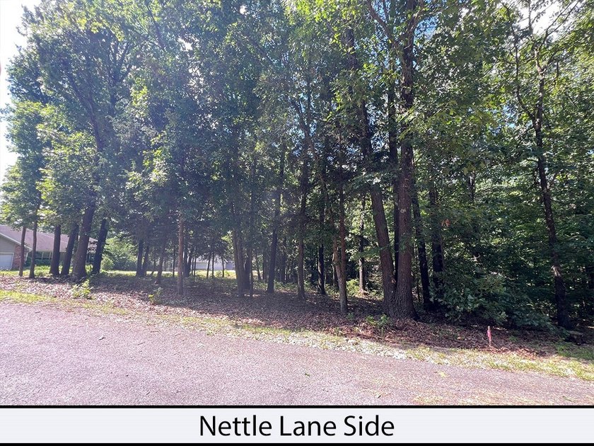 Nettle Lane is 2 minutes to the Back 40 and Blowing Springs - photo 2