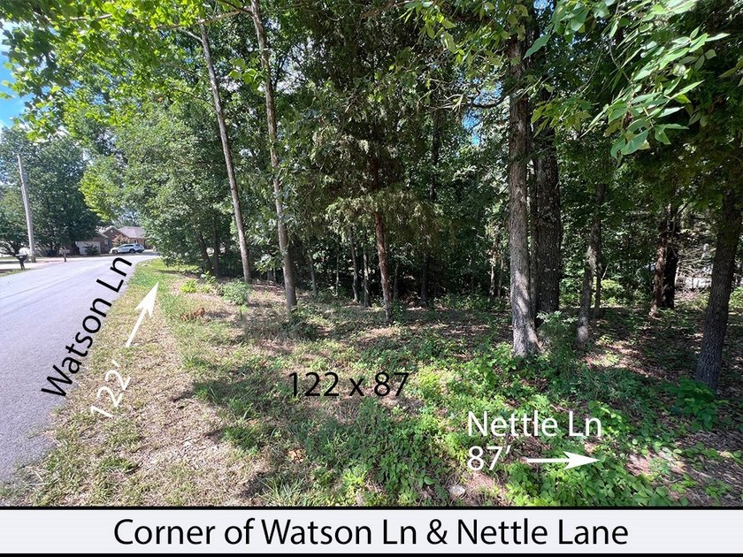 Nettle Lane is 2 minutes to the Back 40 and Blowing Springs - photo 3