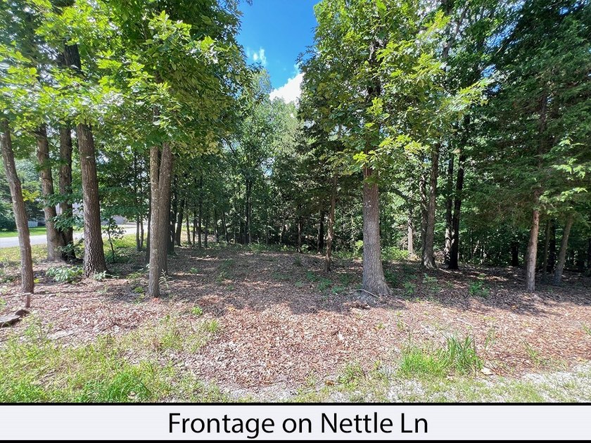 Nettle Lane is 2 minutes to the Back 40 and Blowing Springs - photo 4