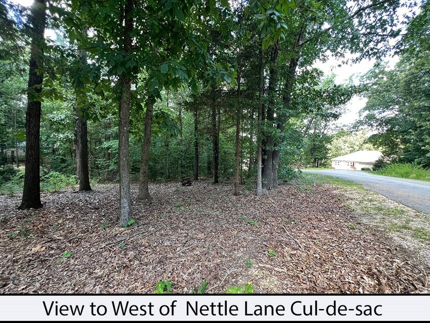 Nettle Lane is 2 minutes to the Back 40 and Blowing Springs - photo 5