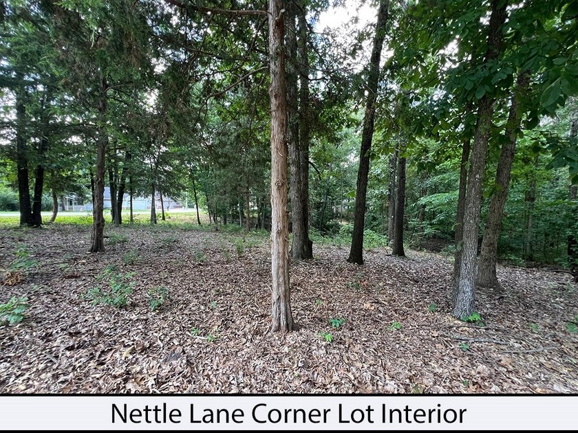 Nettle Lane is 2 minutes to the Back 40 and Blowing Springs - photo 6