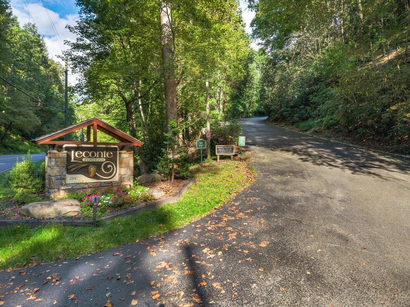 PANORAMIC MOUNTAIN VIEWS, peaceful wooded scenery, and - photo 41