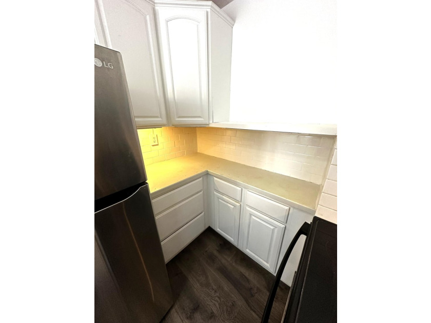 Freshly professionally painted entire unit! Renovated - photo 34