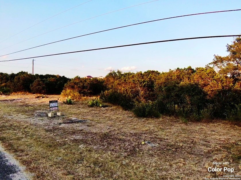 NO HOA, I repeat NO HOA!! This piece of property is tucked in - photo 3