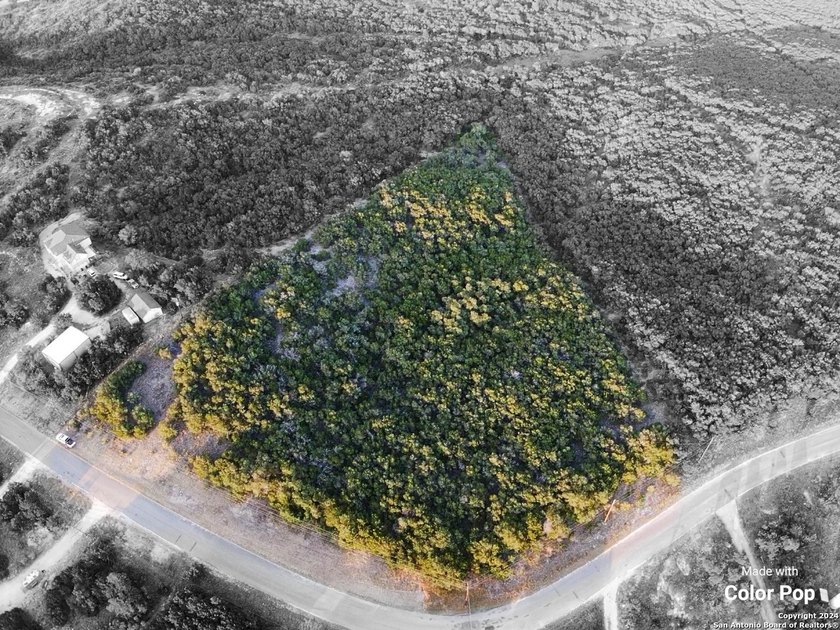 NO HOA, I repeat NO HOA!! This piece of property is tucked in - photo 5