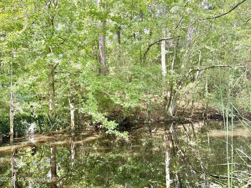 Nice waterfront lot on Meadowdale. Property is cleared and ready - photo 2