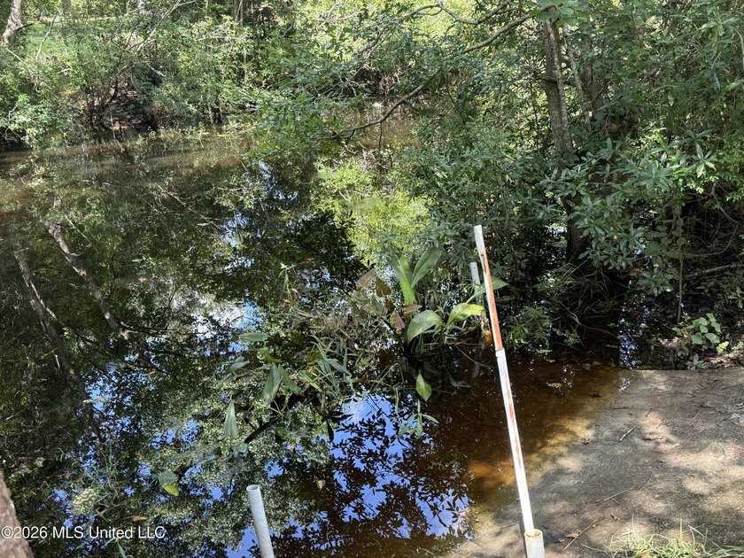 Nice waterfront lot on Meadowdale. Property is cleared and ready - photo 6