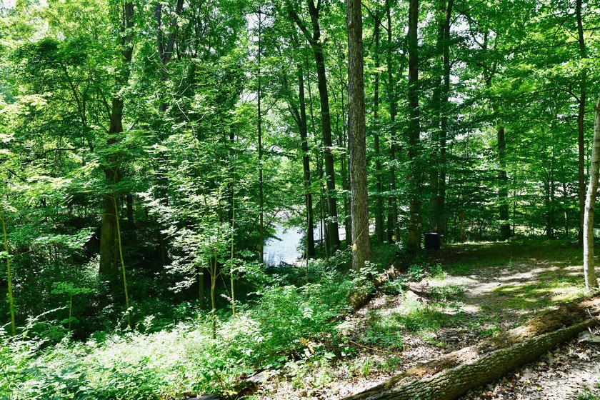 Tucked away on a quiet lot that COMBINES a spacious lawn with a - photo 40