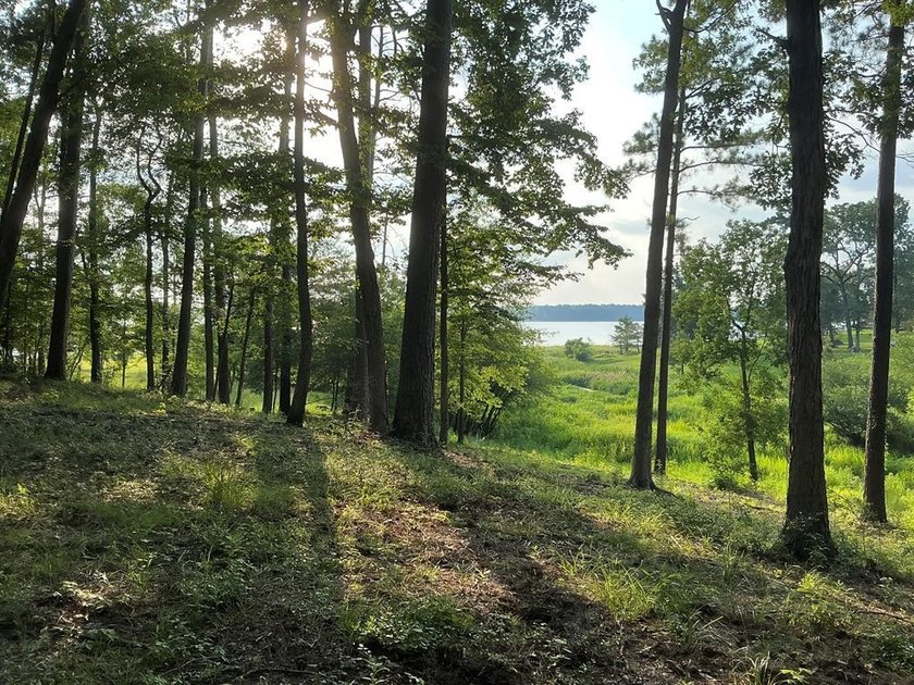 Here's your chance to own 3 adjoining waterfront lots in a Lake - photo 3
