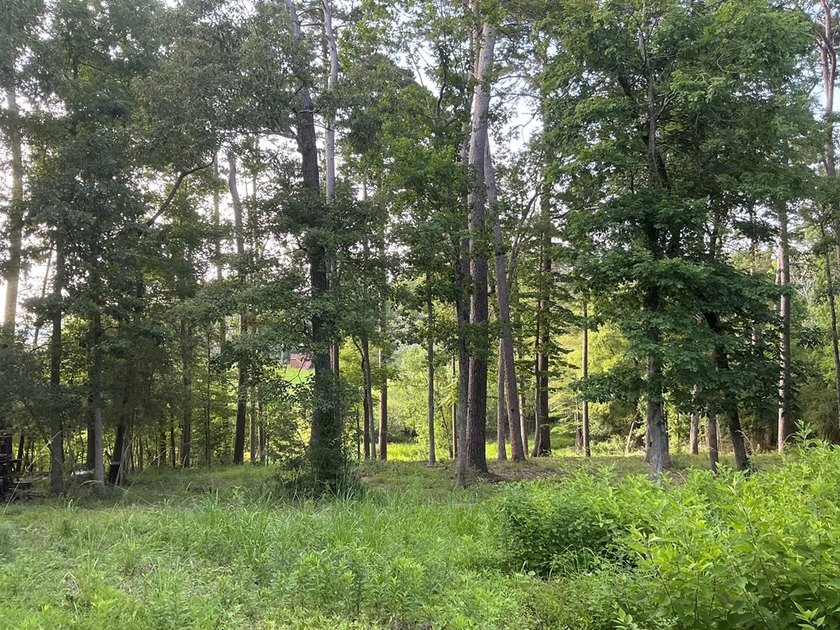 Here's your chance to own 3 adjoining waterfront lots in a Lake - photo 4