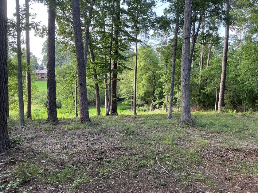 Here's your chance to own 3 adjoining waterfront lots in a Lake - photo 5