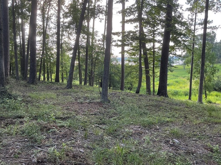 Here's your chance to own 3 adjoining waterfront lots in a Lake - photo 6
