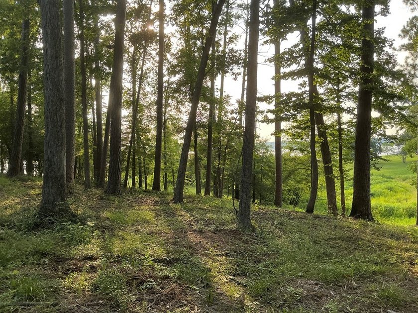 Here's your chance to own 3 adjoining waterfront lots in a Lake - photo 7