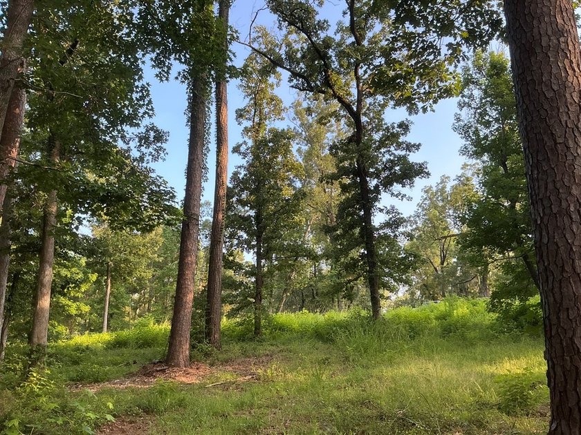 Here's your chance to own 3 adjoining waterfront lots in a Lake - photo 8