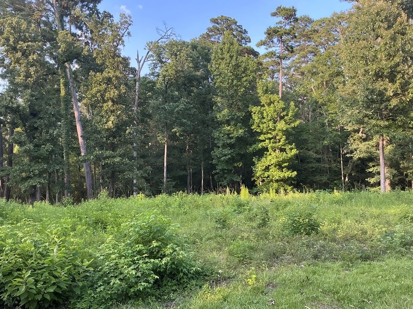 Here's your chance to own 3 adjoining waterfront lots in a Lake - photo 10