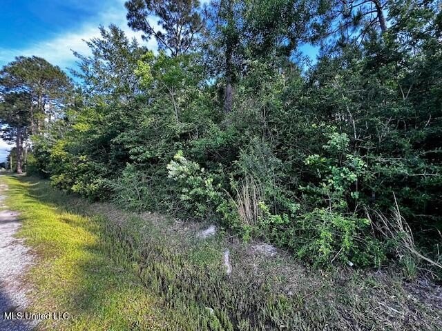Two Wooded Residential Lots in Charming Coastal Waveland, MS - photo 2