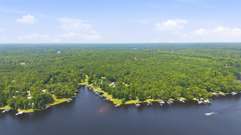 Charming remodeled lakefront cottage on beautiful Lake Sinclair! - photo 24