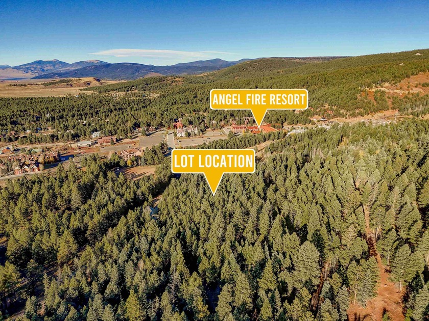 Prime Location - Just Steps from the Slopes! This is the closest - photo 3