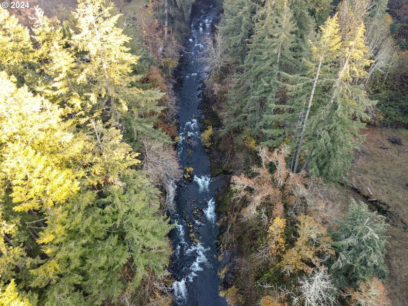 3.990 Gorgeous creek frontage with swimming hole and fishing - photo 4