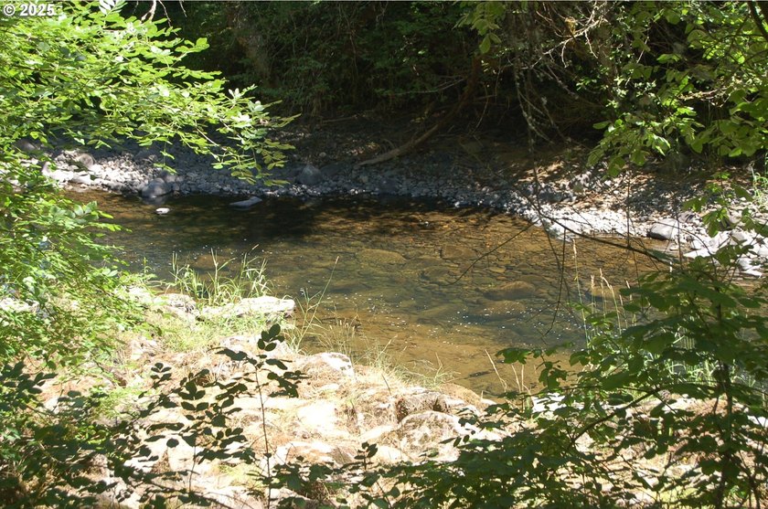 3.990 Gorgeous creek frontage with swimming hole and fishing - photo 8