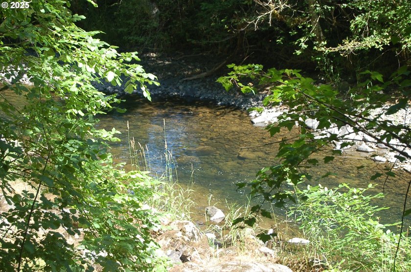 3.990 Gorgeous creek frontage with swimming hole and fishing - photo 9