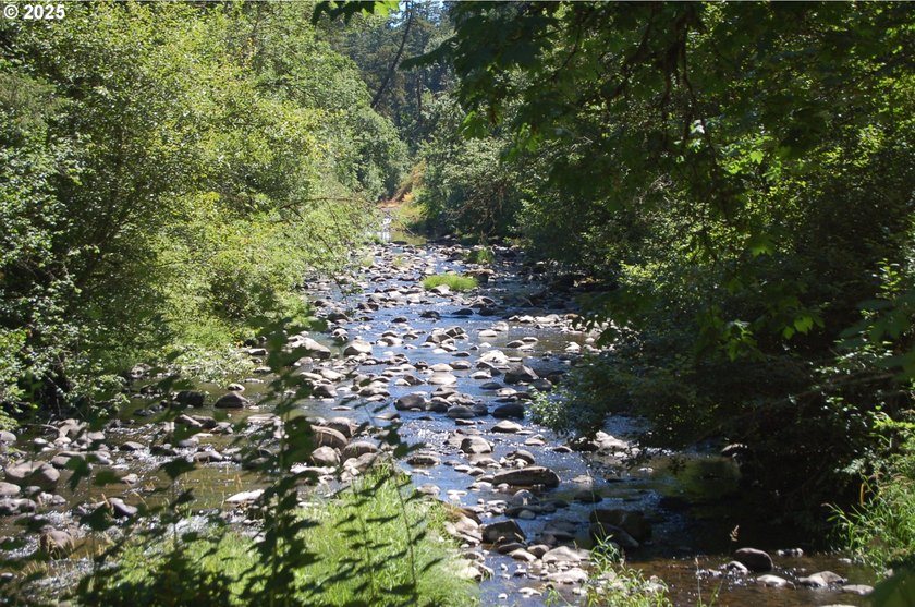 3.990 Gorgeous creek frontage with swimming hole and fishing - photo 10