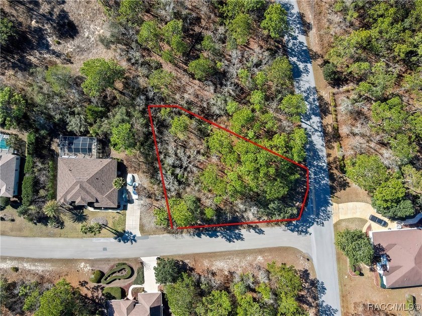 This corner lot property is located in Oak Village of Sugarmill - photo 11