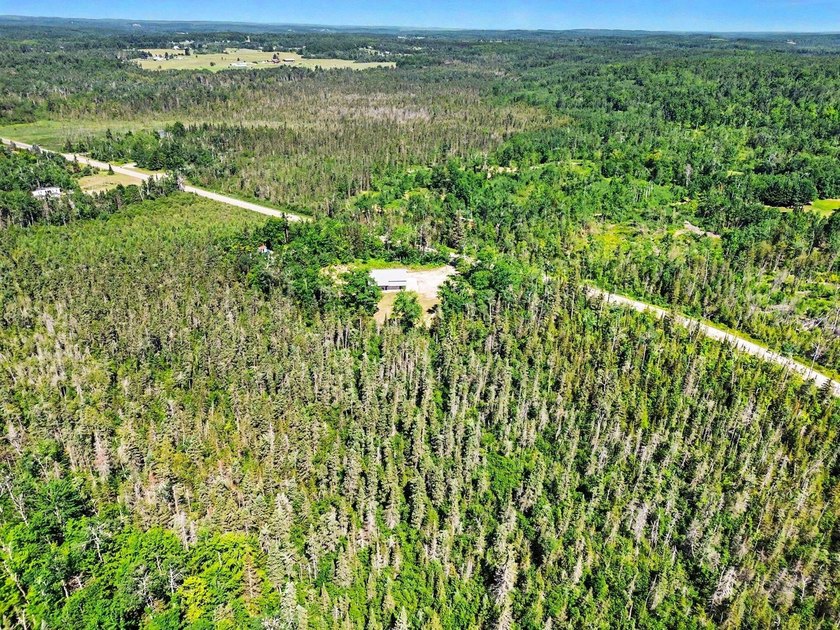 Welcome to your own slice of Northern Michigan! Nestled on - photo 26