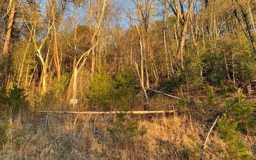 Great river view tract overlook lookng hiawassee river! Please - photo 7