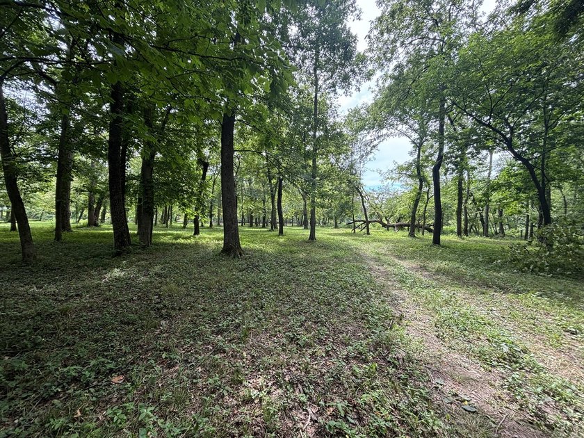 20 Acres at Shoal Creek and Spring River confluence! - photo 2