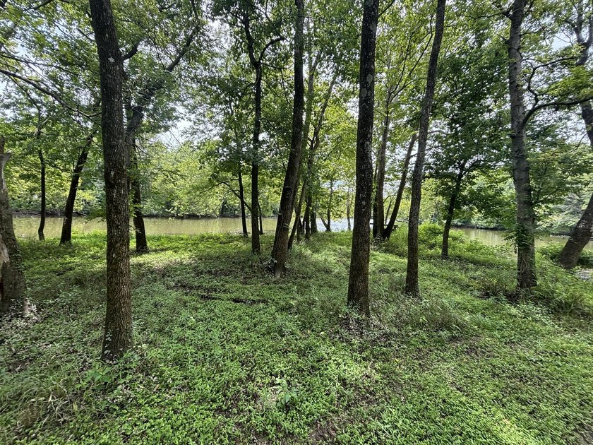20 Acres at Shoal Creek and Spring River confluence! - photo 3