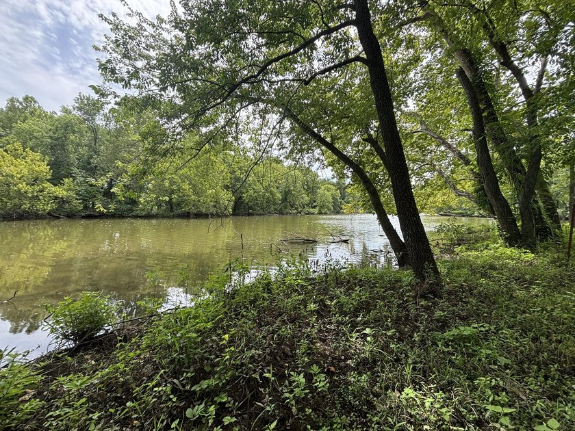 20 Acres at Shoal Creek and Spring River confluence! - photo 5