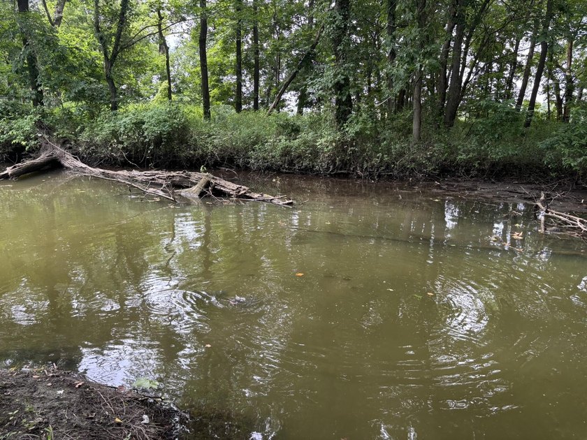 20 Acres at Shoal Creek and Spring River confluence! - photo 7