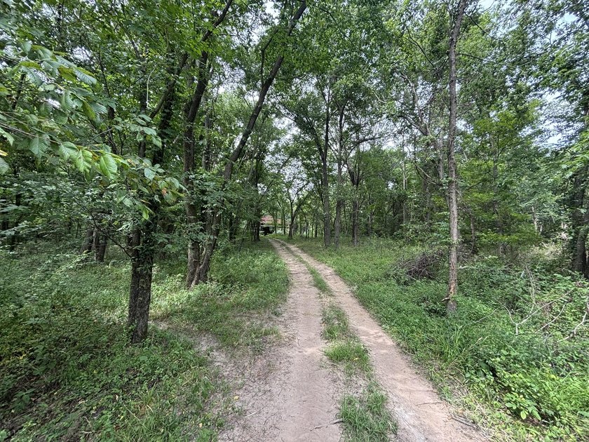 20 Acres at Shoal Creek and Spring River confluence! - photo 8