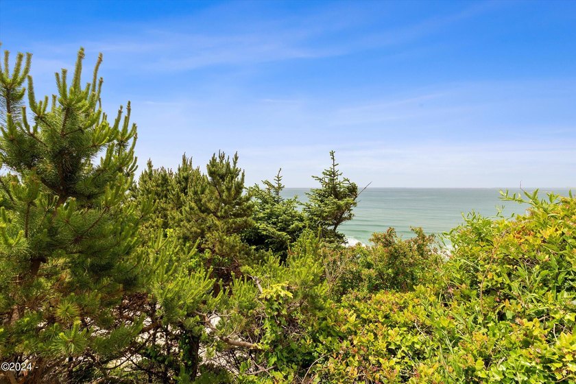 OCEANFRONT high bank townhome features sweeping ocean views that - photo 32