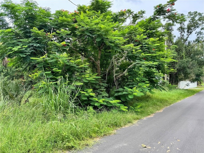 This is a fantastic investment opportunity to build your home in - photo 3